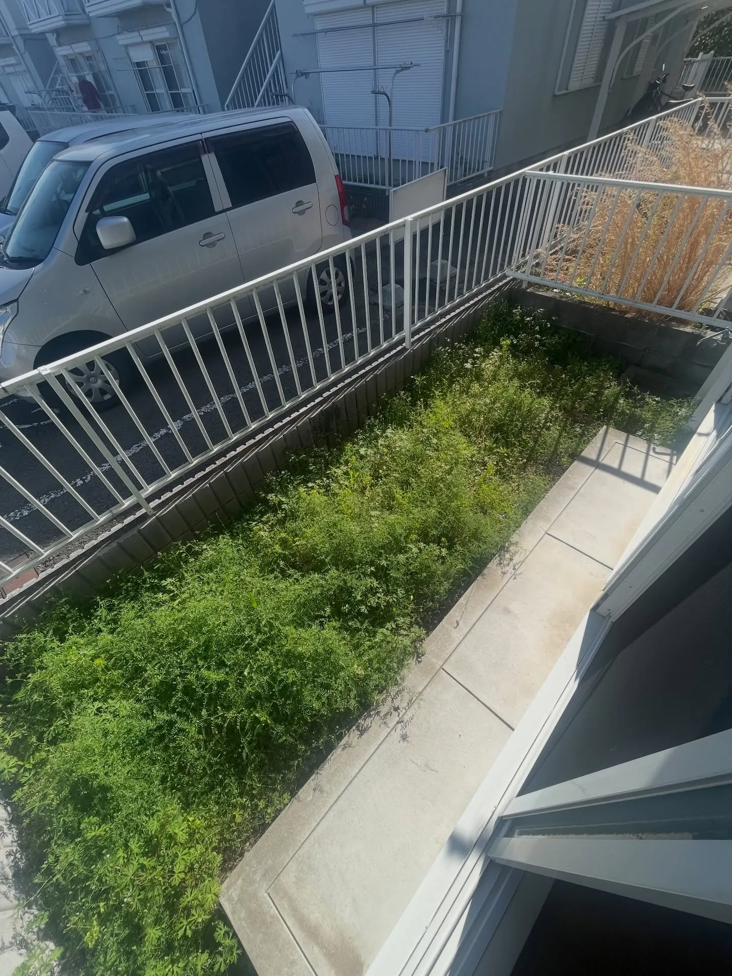 この広さで、この家賃は正直アリ👇