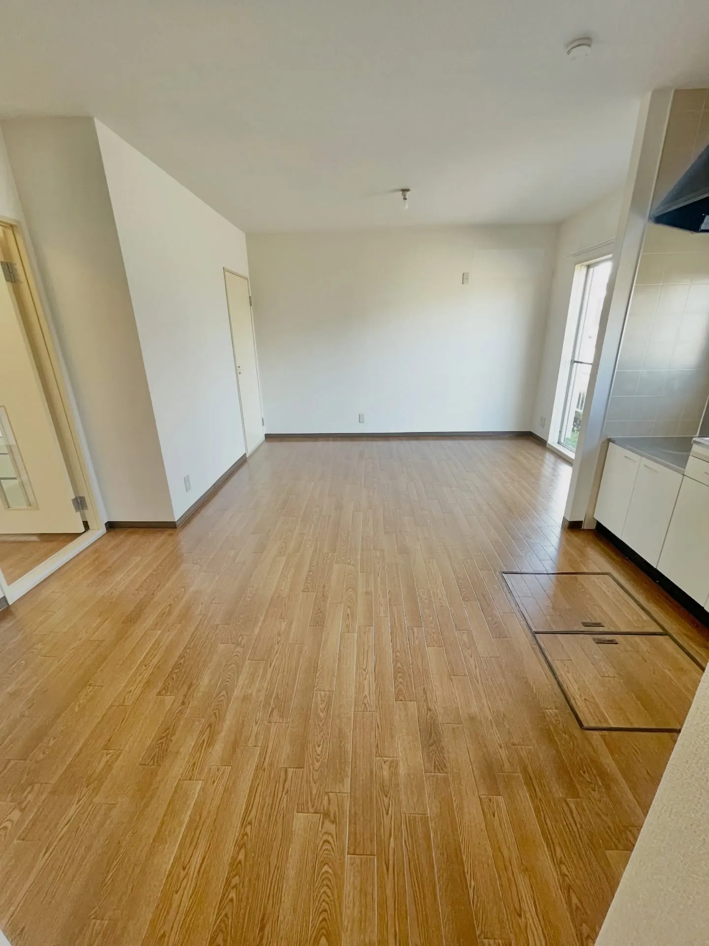 この広さで、この家賃は正直アリ👇