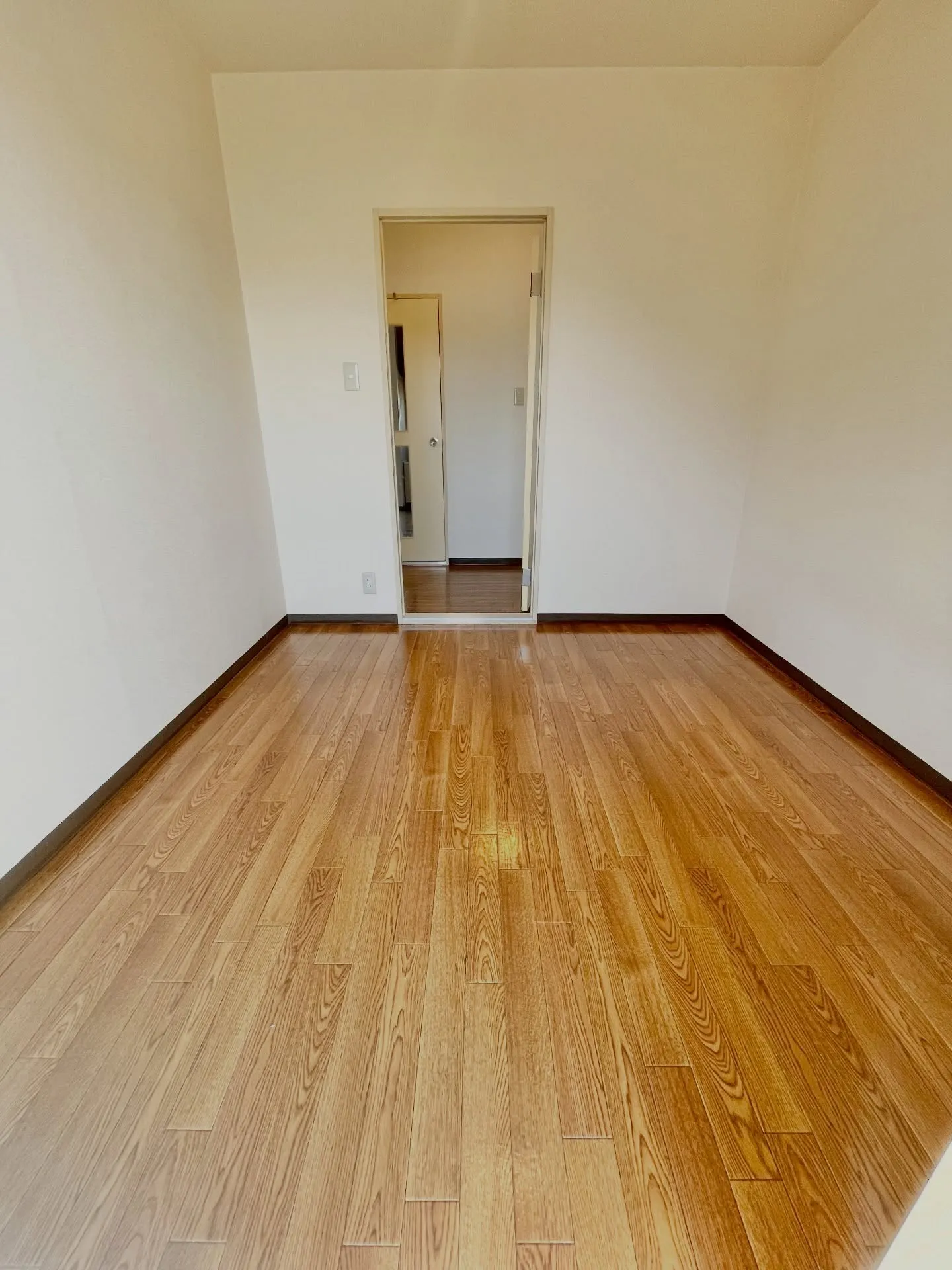 この広さで、この家賃は正直アリ👇